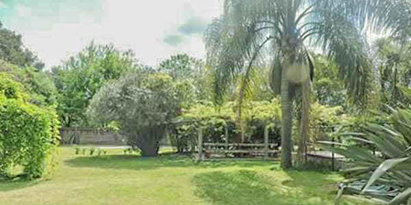 f90d_web_images_internacion_0007_moreno_jardin