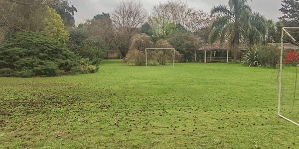 f90d_web_images_internacion_0008_moreno_cancha de futbol